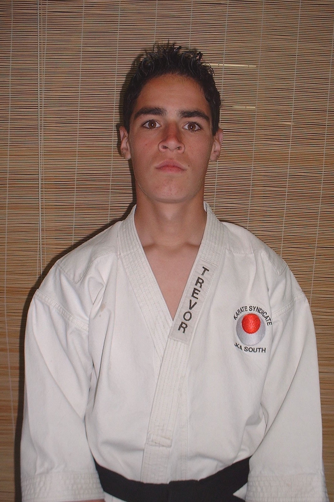Picture